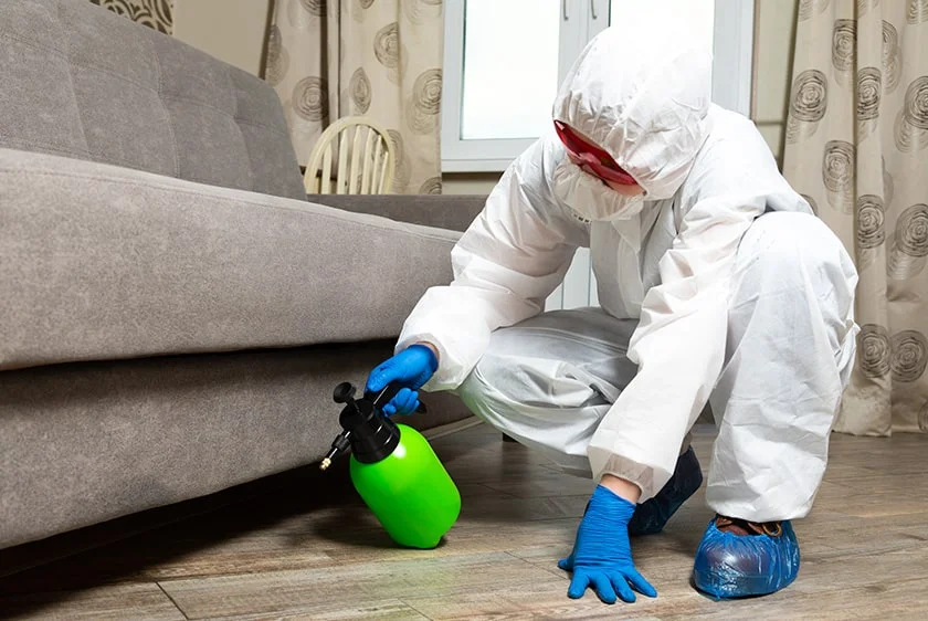 مكافحة الحشرات الزاحفة